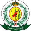 قوات الأمن الخاصة